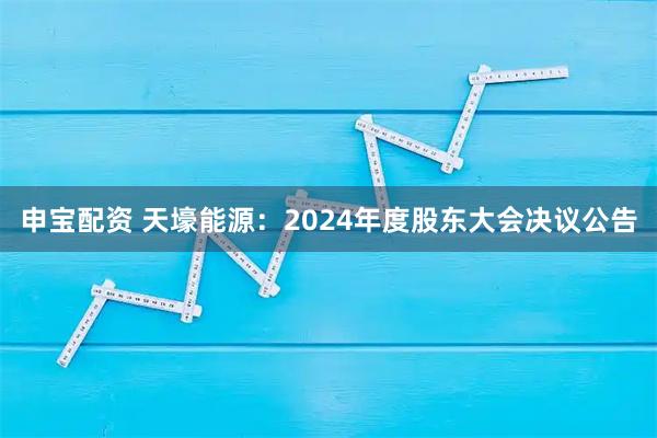 申宝配资 天壕能源：2024年度股东大会决议公告
