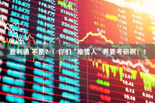 盈利通 不是？！你们“堆雪人”界要考研啊！！