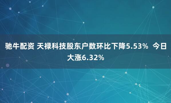 驰牛配资 天禄科技股东户数环比下降5.53%  今日大涨6.32%