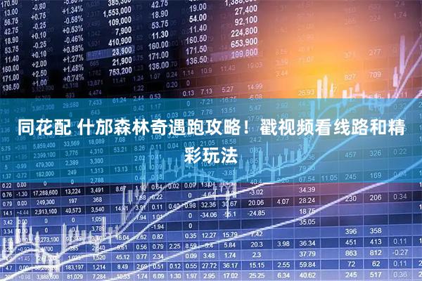 同花配 什邡森林奇遇跑攻略！戳视频看线路和精彩玩法